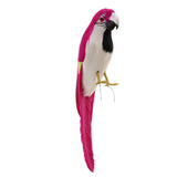 Maxbell Simulation Artificial Feathered Parrot Bird Animal Model Toy Home Decor D
