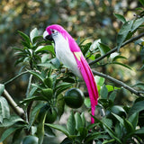 Maxbell Simulation Artificial Feathered Parrot Bird Animal Model Toy Home Decor D