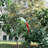 Maxbell Simulation Artificial Feathered Parrot Bird Animal Model Toy Home Decor E