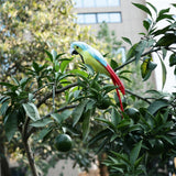 Maxbell Simulation Artificial Feathered Parrot Bird Animal Model Toy Home Decor E
