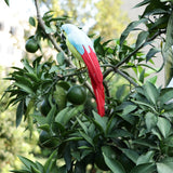 Maxbell Simulation Artificial Feathered Parrot Bird Animal Model Toy Home Decor E