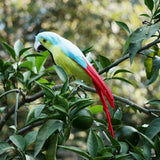 Maxbell Simulation Artificial Feathered Parrot Bird Animal Model Toy Home Decor E