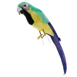 Maxbell Simulation Artificial Feathered Parrot Bird Animal Model Toy Home Decor J