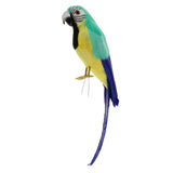 Maxbell Simulation Artificial Feathered Parrot Bird Animal Model Toy Home Decor J