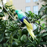 Maxbell Simulation Artificial Feathered Parrot Bird Animal Model Toy Home Decor J
