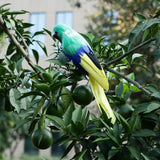 Maxbell Simulation Artificial Feathered Parrot Bird Animal Model Toy Home Decor J