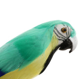 Maxbell Simulation Artificial Feathered Parrot Bird Animal Model Toy Home Decor J