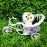 Maxbell Simulation Plush Animal in Tricycle Stuffed Animals Toy Home Decor Dog B