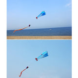 Maxbell Blue Dolphin Frameless Soft Parafoil Kite for Kids & Adults Park Beach Play