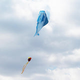 Maxbell Blue Dolphin Frameless Soft Parafoil Kite for Kids & Adults Park Beach Play