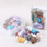 Maxbell Kids Earth Science Toys Rock & Mineral Collection Set PK06 - Mixed Minerals