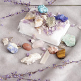 Maxbell Kids Earth Science Toys Rock & Mineral Collection Set PK06 - Mixed Minerals