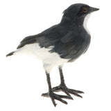 Maxbell Realistic Faux Fur Butcherbird Animal Model Figures DIY Home Decor Black