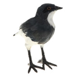 Maxbell Realistic Faux Fur Butcherbird Animal Model Figures DIY Home Decor Black