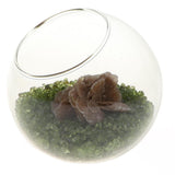 Maxbell Rose Crystal Bonsai Meditation Reiki Crystal Relaxation Home Office Decor