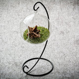 Maxbell Rose Crystal Bonsai Meditation Reiki Crystal Relaxation Home Office Decor
