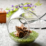 Maxbell Rose Crystal Bonsai Meditation Reiki Crystal Relaxation Home Office Decor