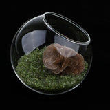 Maxbell Rose Crystal Bonsai Meditation Reiki Crystal Relaxation Home Office Decor