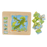 Maxbell Wooden Frog Animal Block Puzzle Board Montessori Educational Matching Toy