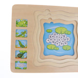 Maxbell Wooden Frog Animal Block Puzzle Board Montessori Educational Matching Toy