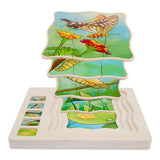 Maxbell Wooden Butterfly Block Puzzle Board Montessori Educational Matching Toy