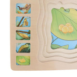 Maxbell Wooden Butterfly Block Puzzle Board Montessori Educational Matching Toy