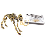 Maxbell Kids Dinosaur Excavation Kits Dig A Dinosaur Educational Toy Mammoth