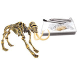 Maxbell Kids Dinosaur Excavation Kits Dig A Dinosaur Educational Toy Mammoth