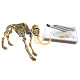 Maxbell Kids Dinosaur Excavation Kits Dig A Dinosaur Educational Toy Mammoth