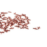 Maxbell 100 Piece Plastic Fake Ants Model Figure Set Kids Toy Party Favors Brown