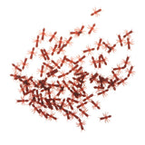 Maxbell 100 Piece Plastic Fake Ants Model Figure Set Kids Toy Party Favors Brown