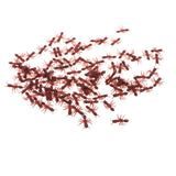 Maxbell 100 Piece Plastic Fake Ants Model Figure Set Kids Toy Party Favors Brown