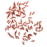 Maxbell 100 Piece Plastic Fake Ants Model Figure Set Kids Toy Party Favors Brown