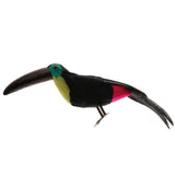Maxbell Lifelike Simulation Animals Model Figurine Kids Toy Home Decoration Toucan E