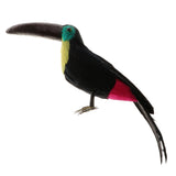Maxbell Lifelike Simulation Animals Model Figurine Kids Toy Home Decoration Toucan E