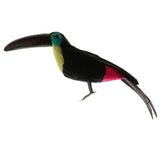 Maxbell Lifelike Simulation Animals Model Figurine Kids Toy Home Decoration Toucan E