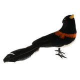 Maxbell Simulation Artificial Feather Bird Animal Model Home Decor Collectibles A