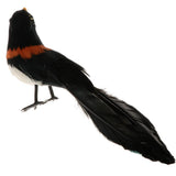 Maxbell Simulation Artificial Feather Bird Animal Model Home Decor Collectibles A