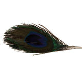Maxbell Simulation Artificial Feather Bird Animal Model Home Decor Collectibles F