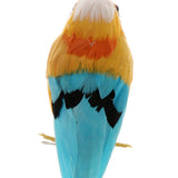 Maxbell Simulation Artificial Feather Bird Animal Model Home Decor Collectibles F