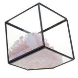Max Natural Rock Mineral Collection Geology Earth Science Kit Ornament White