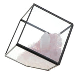 Max Natural Rock Mineral Collection Geology Earth Science Kit Ornament White