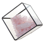 Max Natural Rock Mineral Collection Geology Earth Science Kit Ornament White