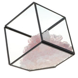 Max Natural Rock Mineral Collection Geology Earth Science Kit Ornament White