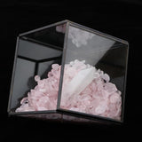 Max Natural Rock Mineral Collection Geology Earth Science Kit Ornament White