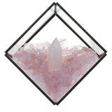 Max Natural Rock Mineral Collection Geology Earth Science Kit Ornament White