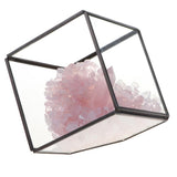 Max Natural Rock Mineral Collection Geology Earth Science Kit Ornament Pink