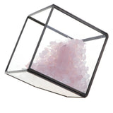 Max Natural Rock Mineral Collection Geology Earth Science Kit Ornament Pink