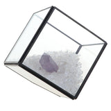 Max Natural Rock Mineral Collection Geology Earth Science Kit Ornament Purple