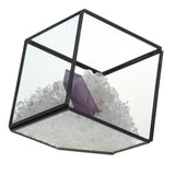 Max Natural Rock Mineral Collection Geology Earth Science Kit Ornament Purple